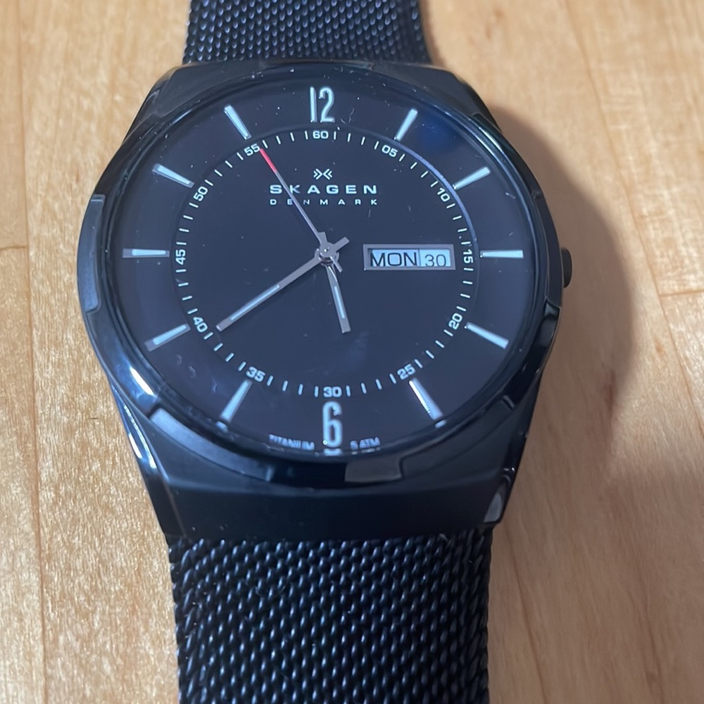 Skagen Watch